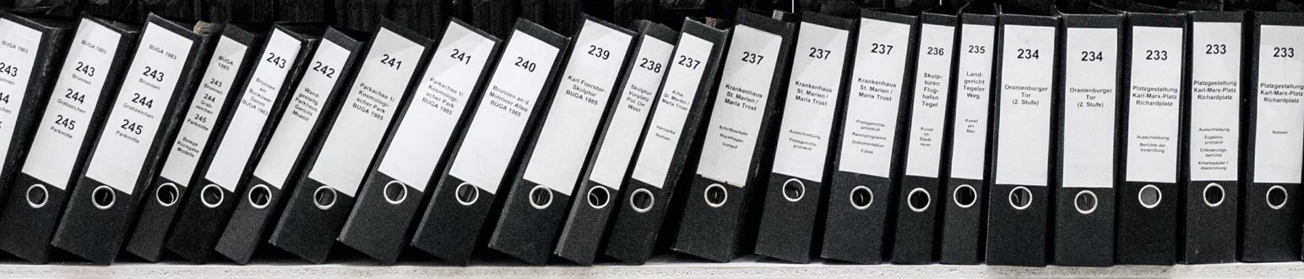 Document Translation Services