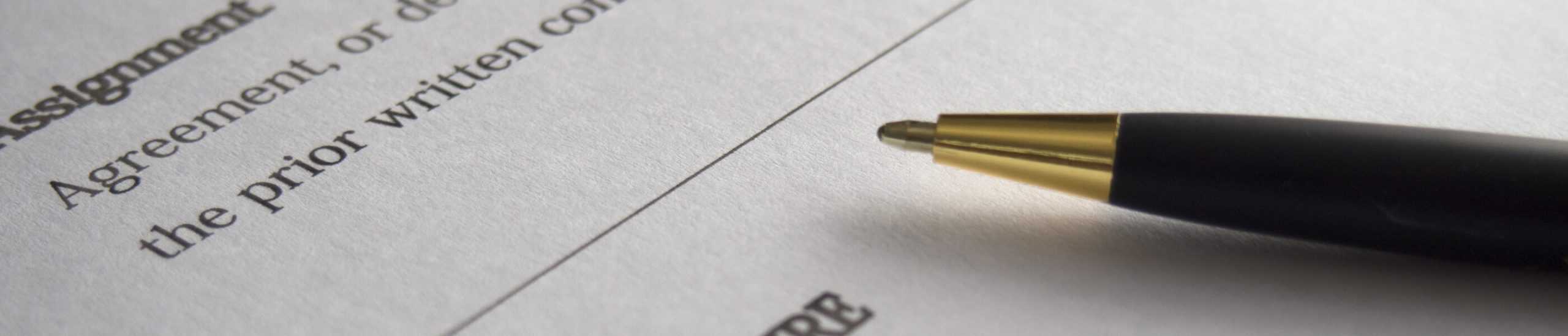 Document Translation Services