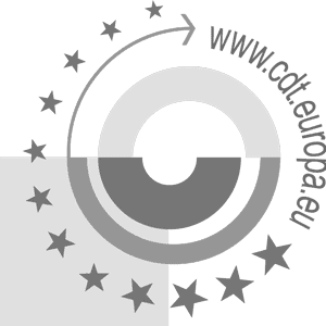 CDT Logo