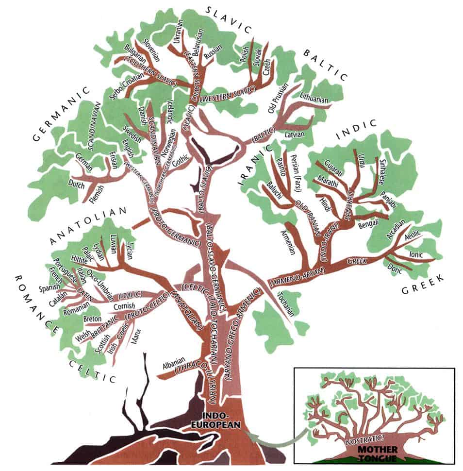 indoeuropean languages tree