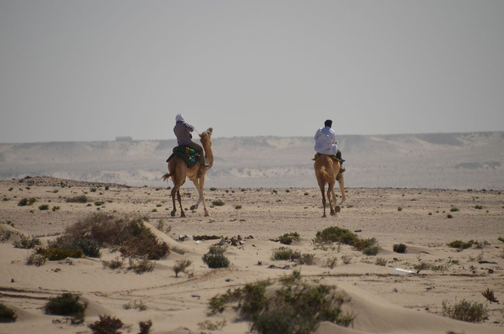 riders in the desert, Arabic Translation Services 
