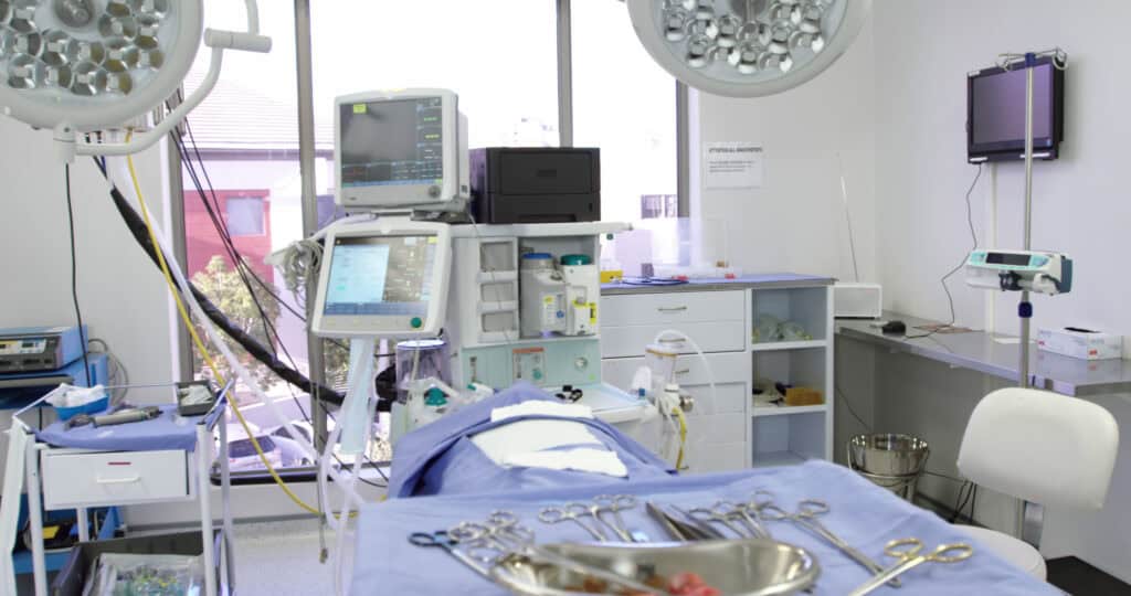 medical translation services